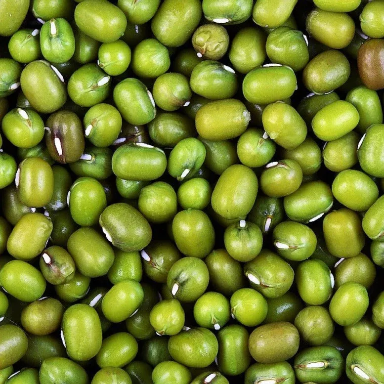 mung-bean Mung Bean