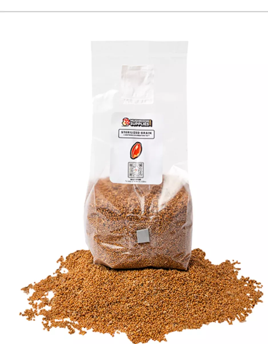 MUSHROOMSUPPLIES GRAIN SPAWN BAG 3lb
