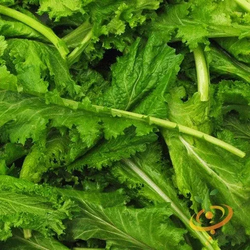 mustard-old-fashion-seeds Mustard - Old Fashion seeds