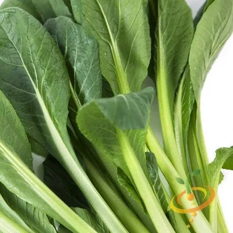 mustard-tendergreen-seeds Mustard - Tendergreen seeds