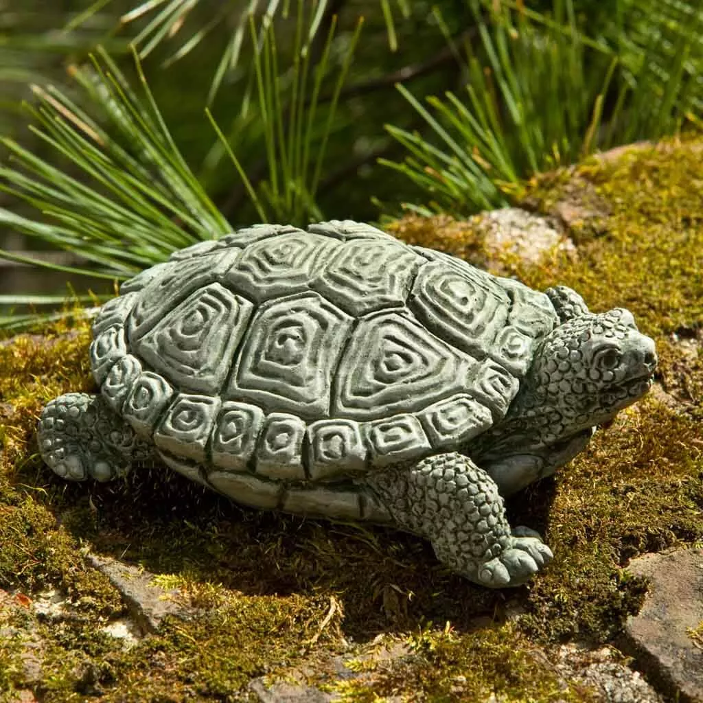 My Pet Turtle By Campania International