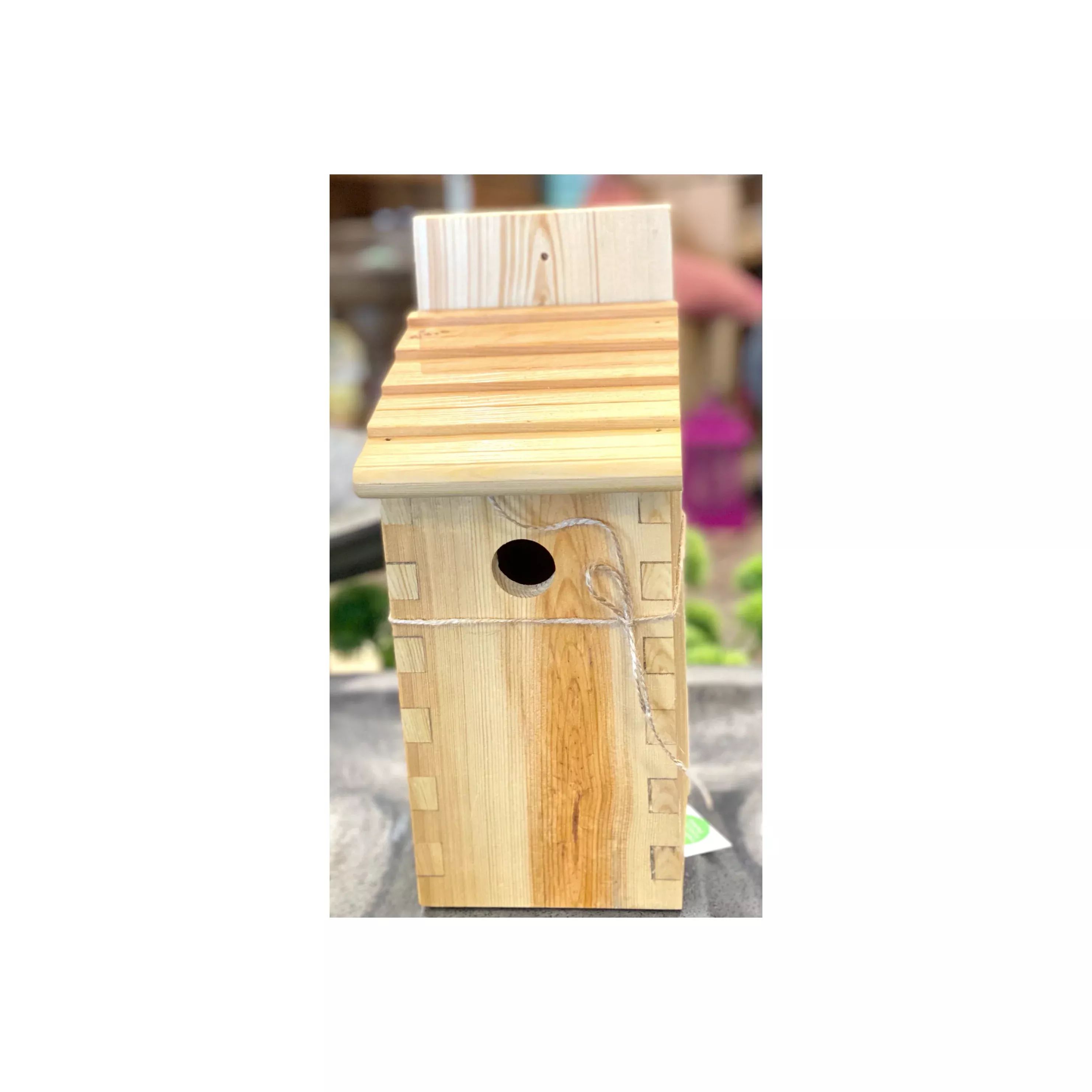 Nathan Cole- Box Joint Bird House