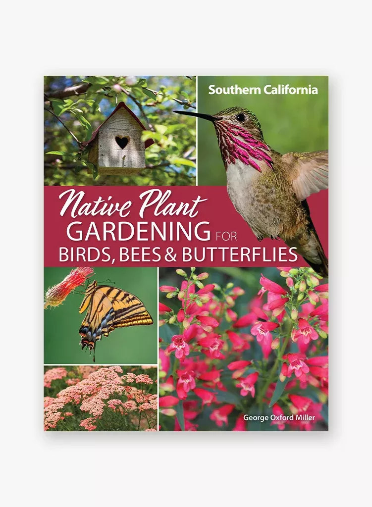 native-plant-gardening-birds-bees-butterflies-southern-california Native Plant Gardening for Birds, Bees & Butterflies: Southern California