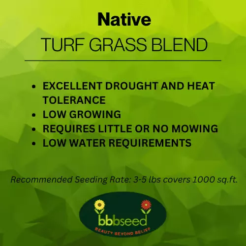 native-turf-grass-mix Native Turf Grass Mix
