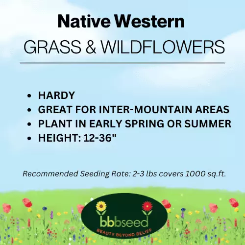 native-western-grass-wildflowers-mix Native Western Grass and Wildflowers Mix