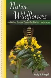 native-wildflowers-other-groundcovers-heugel Native Wildflowers and other groundcovers (Heugel)