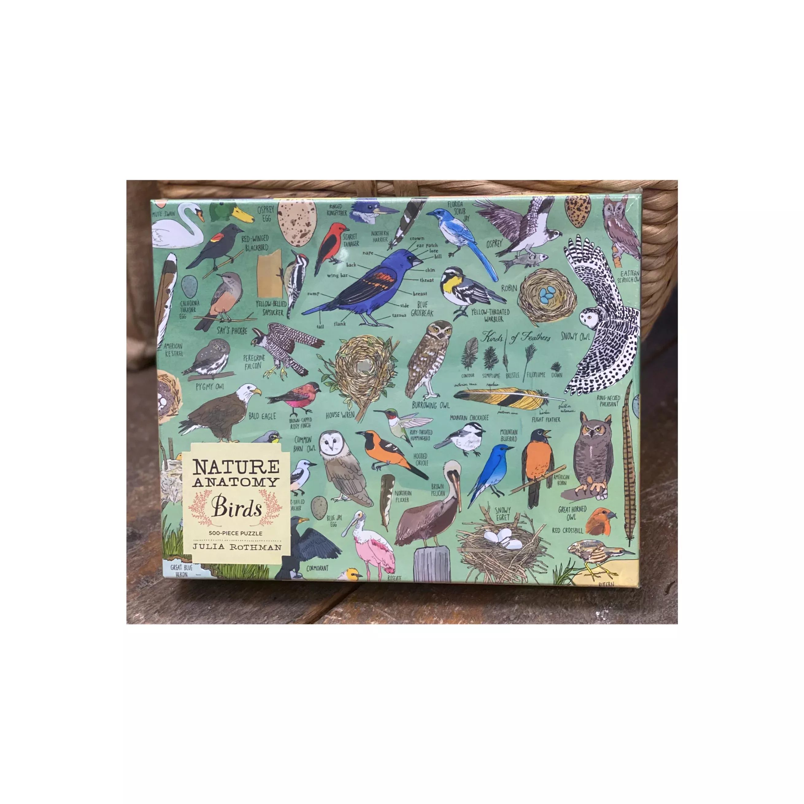nature-anatomy-birds-puzzle-500-pieces Nature Anatomy Birds Puzzle 500 Pieces