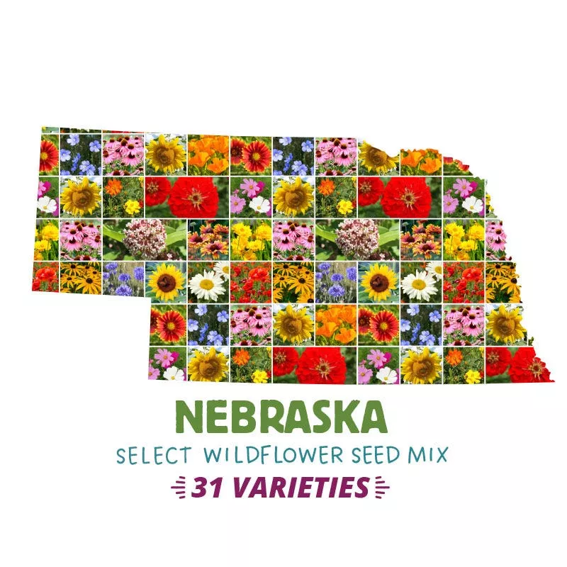 nebraska-select-wildflower-seed-mix Nebraska Select Wildflower Seed Mix