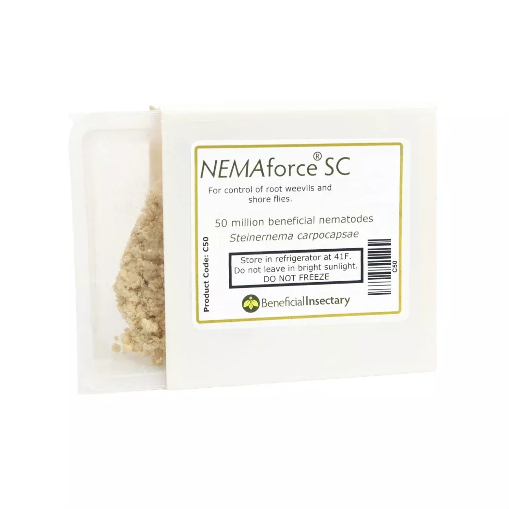 nemaforce-sc-50-250-million NEMAforce™ SC – (50/250 million)