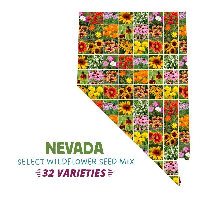nevada-select-wildflower-seed-mix Nevada Select Wildflower Seed Mix