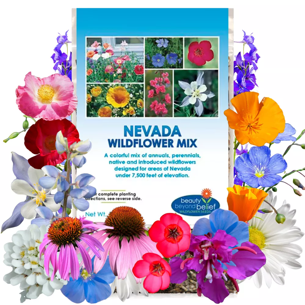 Nevada Wildflower Mix