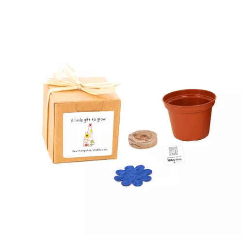 new-hampshire-gift-box-grow-kits-wildflower-seeds-by-nature-favors New Hampshire Gift Box Grow Kits™ Wildflower Seeds by Nature Favors™