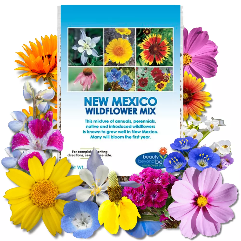 new-mexico-wildflower-mix New Mexico Wildflower Mix