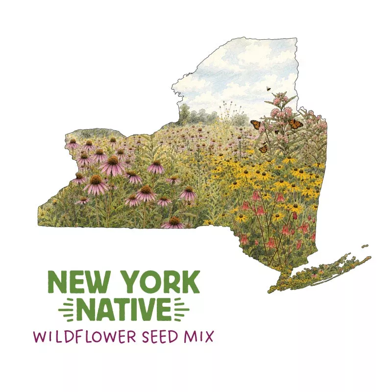 New York Native Wildflower Seed Mix