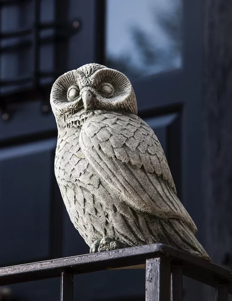 night-owl-by-campania-international Night Owl by Campania International