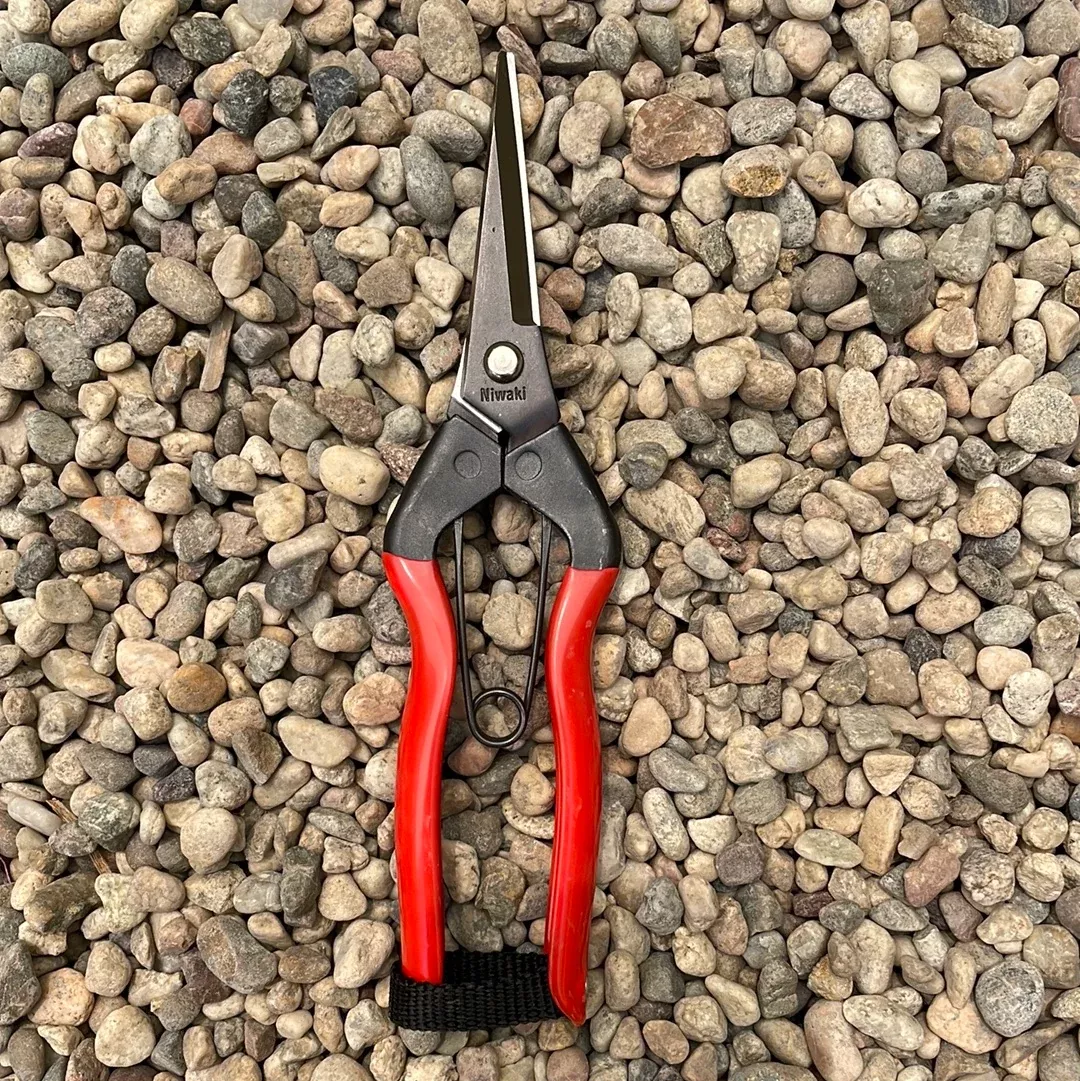 niwaki-garden-snips Niwaki Garden Snips