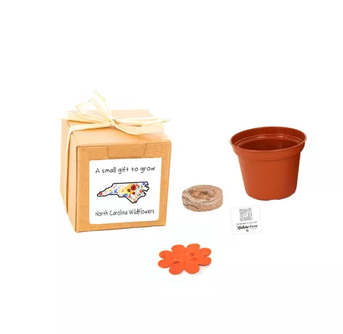north-carolina-gift-box-grow-kits-wildflower-seeds-by-nature-favors North Carolina Gift Box Grow Kits™ Wildflower Seeds by Nature Favors™