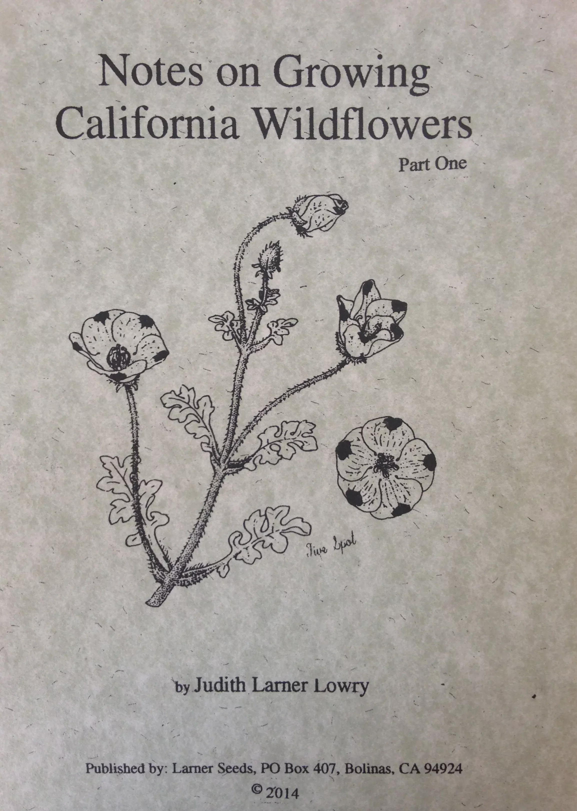 notes-on-growing-california-wildflowers Notes on Growing California Wildflowers