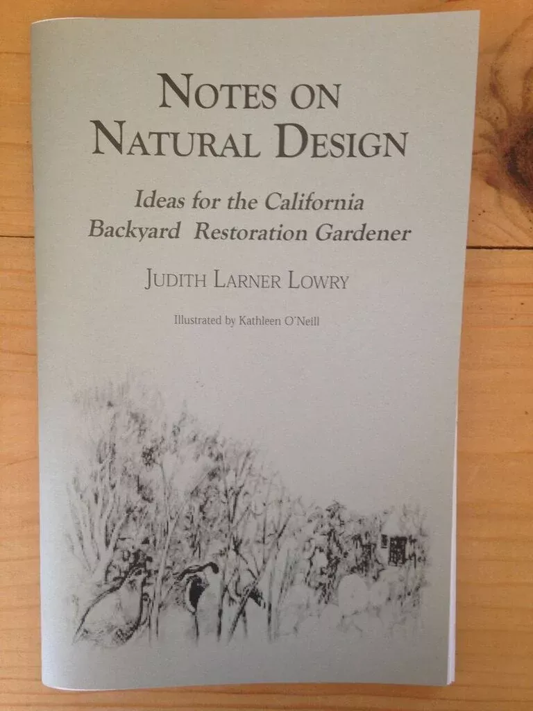 notes-on-natural-design Notes on Natural Design