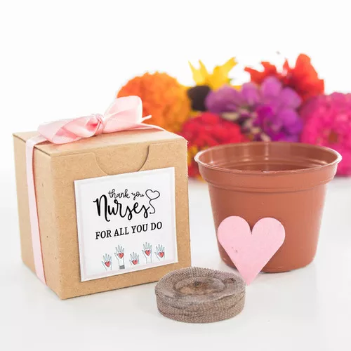 nurse-appreciation-flower-garden-grow-kit Nurse Appreciation Flower Garden Grow Kit