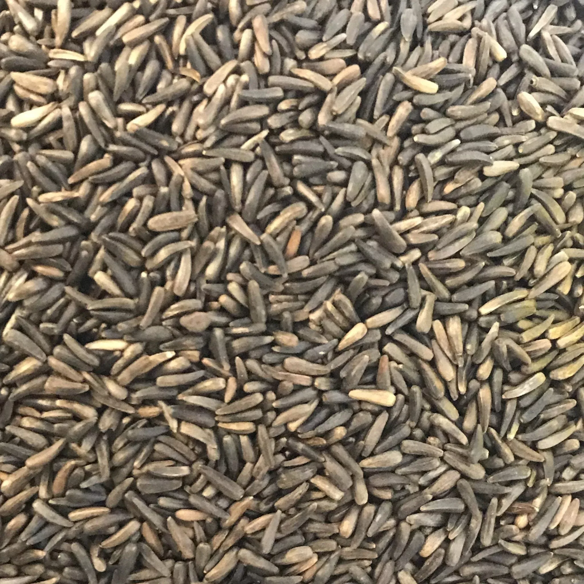 Nyjer Seed [4 sizes]