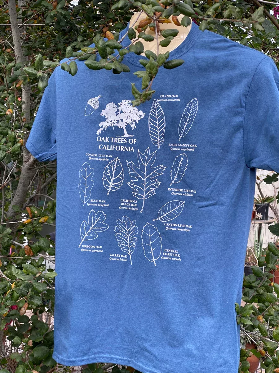 oak-tree-t-shirts-by-fred-roberts-long-short-sleeve Oak Tree T-shirts by Fred Roberts Long and Short Sleeve