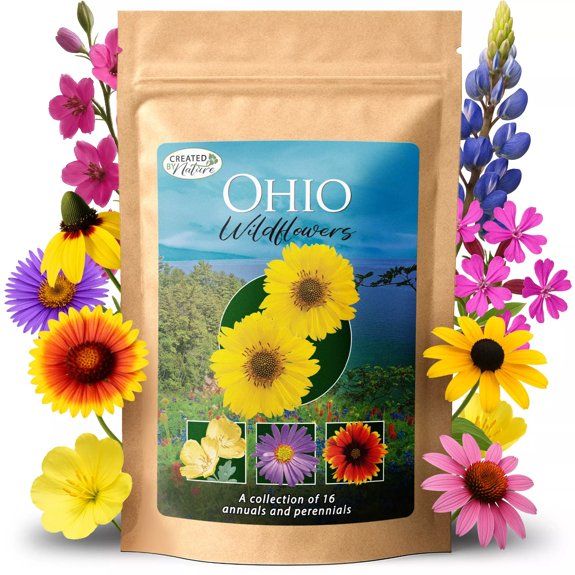 ohio-wildflower-seed-mix Ohio Wildflower Seed Mix