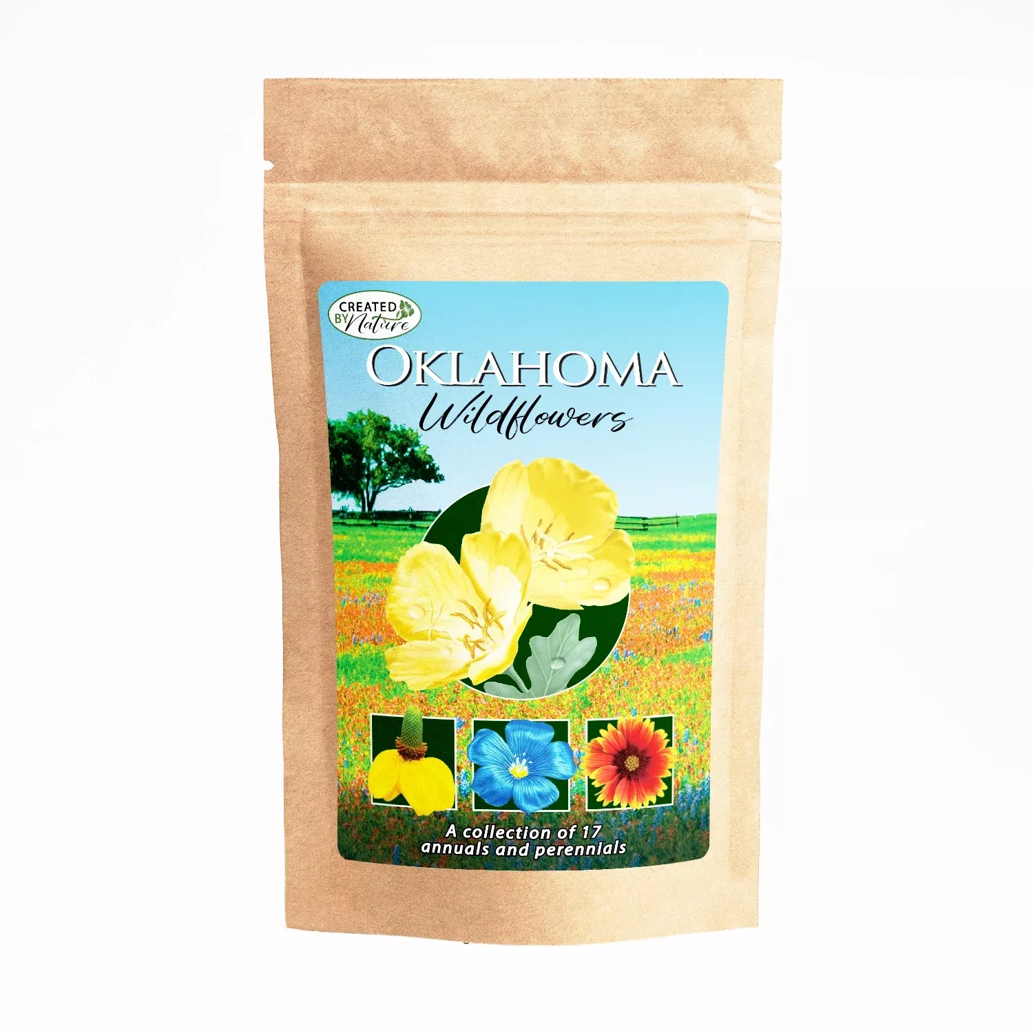 Oklahoma Wildflower Seed Mix