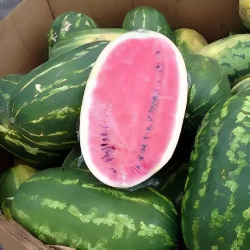 ole-watermelon-seeds Ole Watermelon Seeds
