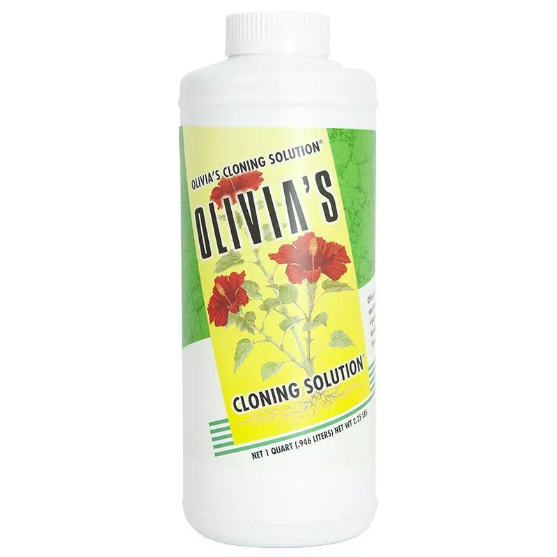 olivia-s-cloning-solution-qt Olivia's Cloning Solution (Qt)