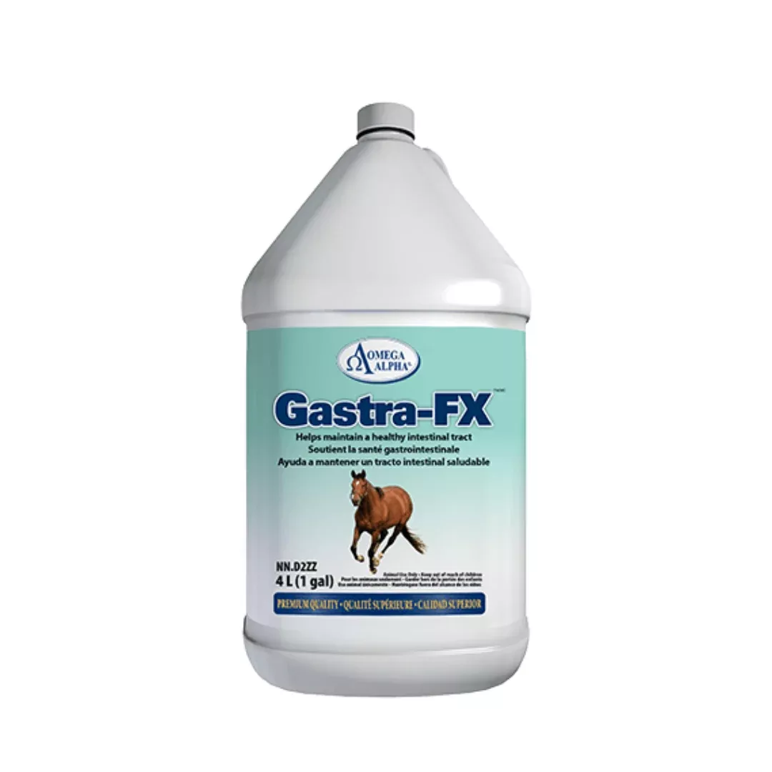 Omega Alpha Gastra-FX Digestive Health Support 4L