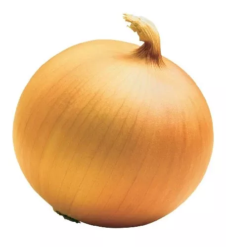 Onion:  New York Early