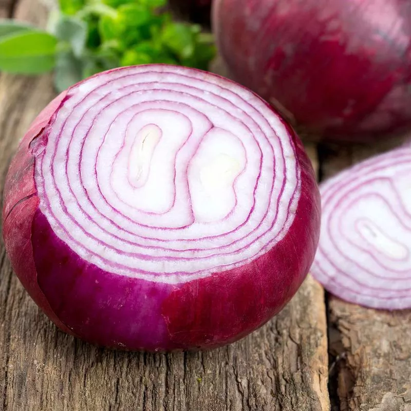 onion-seeds-short-day-red-burgundy Onion Seeds (Short Day) - Red Burgundy