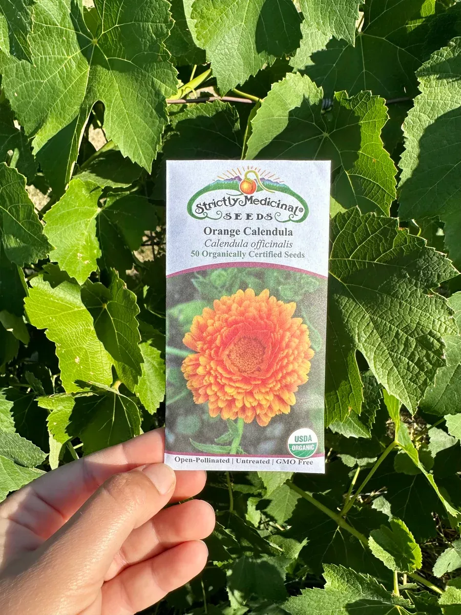 Orange Calendula Seeds