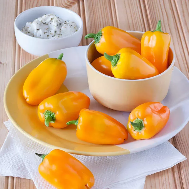 orange-snacking-pepper-2-pack Orange Snacking Pepper (2 Pack)