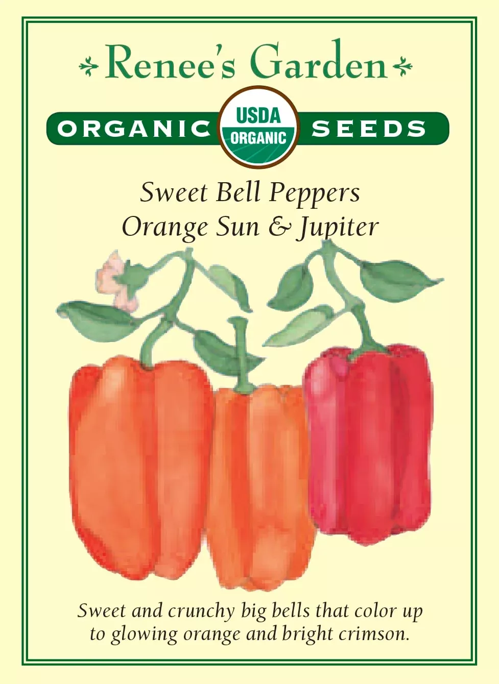 orange-sun-jupiter-organic Orange Sun & Jupiter Organic