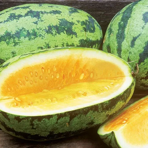 orangeglo-watermelon-seeds Orangeglo Watermelon Seeds