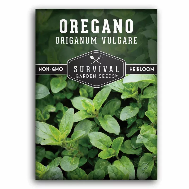 oregano-seeds-hardy-culinary-herb-home-gardens-containers-mediterranean-cooking Oregano Seeds – Hardy Culinary Herb for Home Gardens, Containers & Mediterranean Cooking