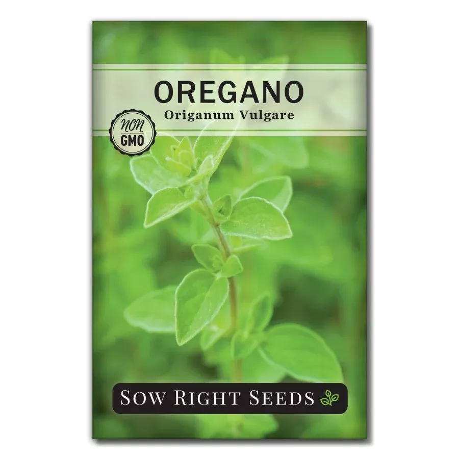 oregano Oregano