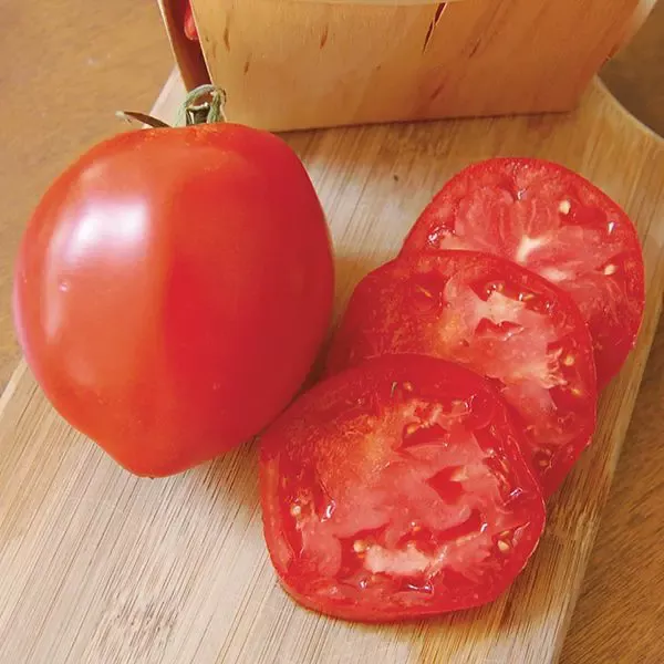 Organic Amish Paste Tomato