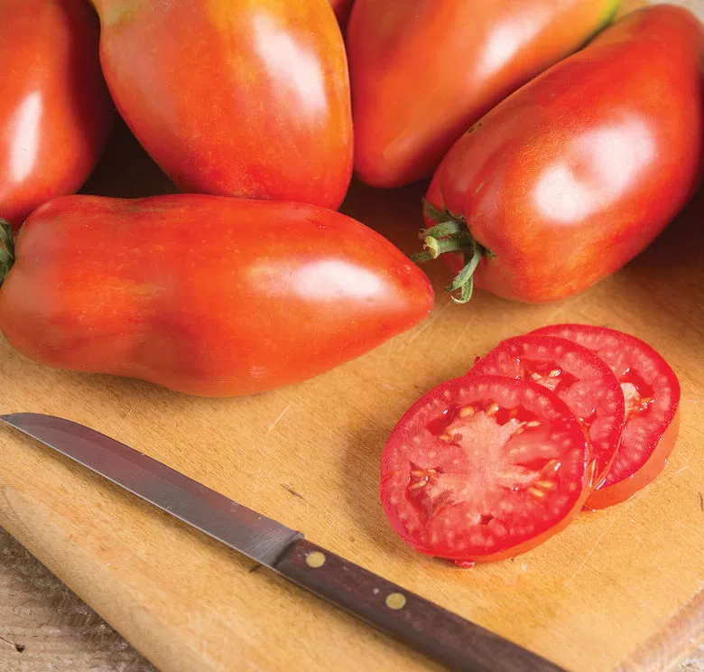 Organic Blue Beech Tomato