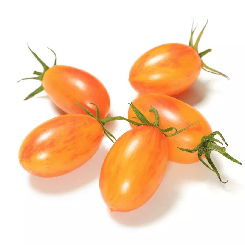 organic-blush-tomato-plant-please-call-shop-availability Organic Blush Tomato Plant - Please call shop for availability