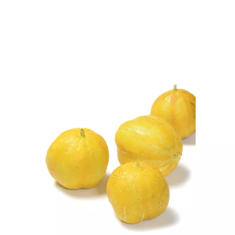 organic-lemon-cucumber-cucumis-sativus-seeds Organic Lemon Cucumber - Cucumis sativus Seeds