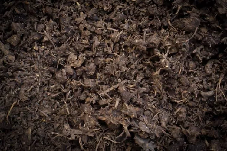 organic-screened-blended-compost Organic Screened/Blended Compost