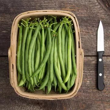 organic-seychelles-beans Organic Seychelles Beans