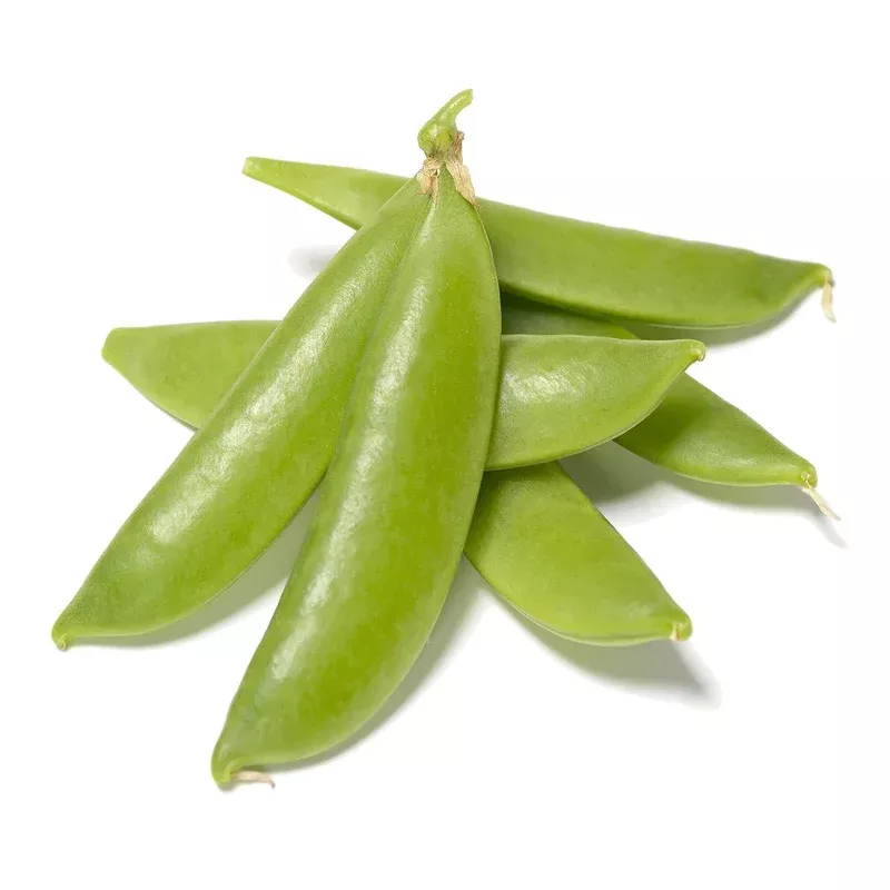 organic-sugar-daddy-snap-pea-pisum-sativum-seeds Organic Sugar Daddy Snap Pea - Pisum sativum Seeds