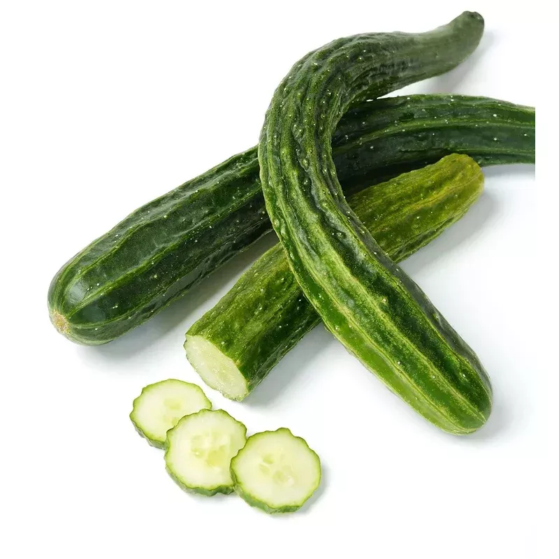 Organic Suyo Long Cucumber - Cucumis sativus Seeds