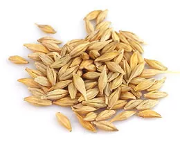 organic-whole-grain-malted-barley Organic Whole Grain Malted Barley