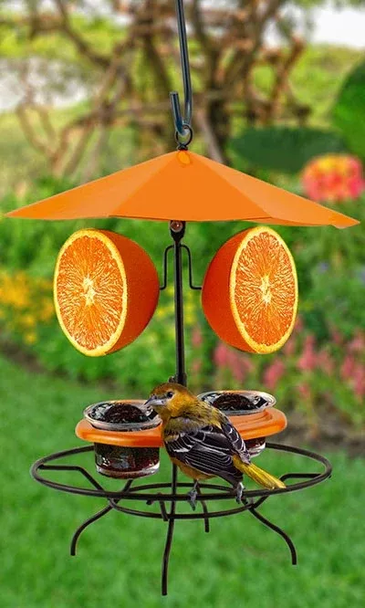Oriole Patio Set Feeder