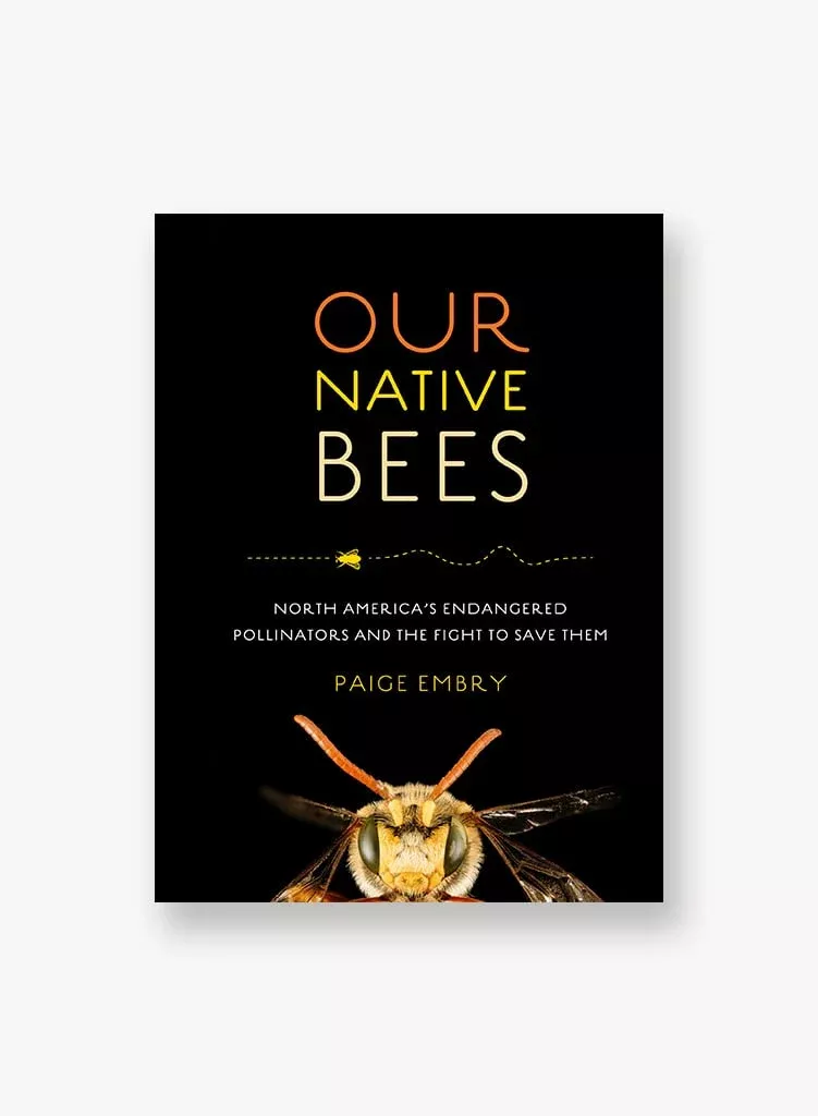 Our Native Bees